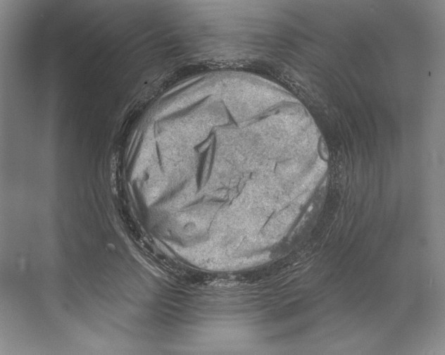 X0000068830742200606021642