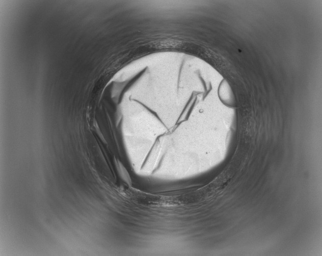 X0000068830743200606021642