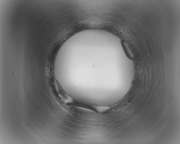 X0000068830744200606021642