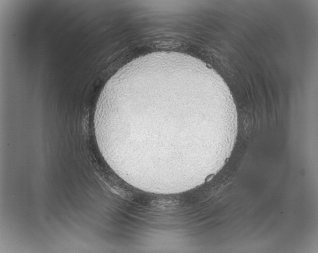 X0000068830745200606021642