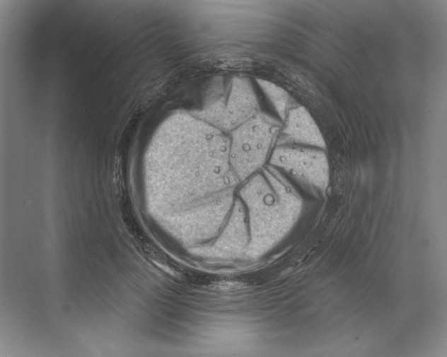 X0000068830748200606021642