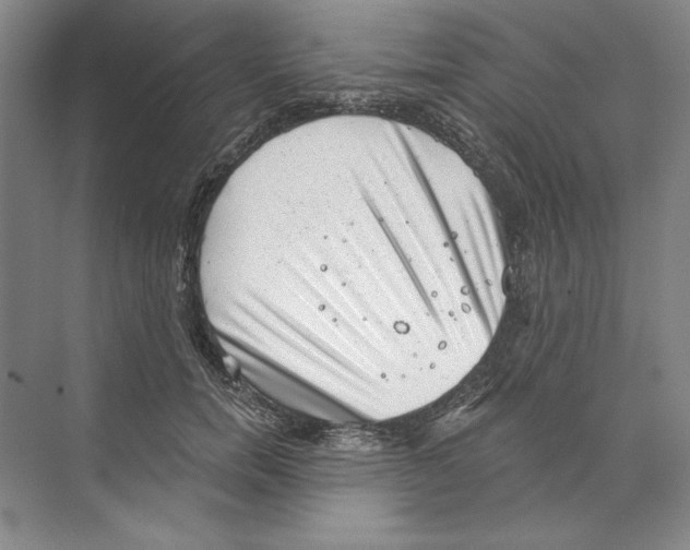 X0000068830750200606021642