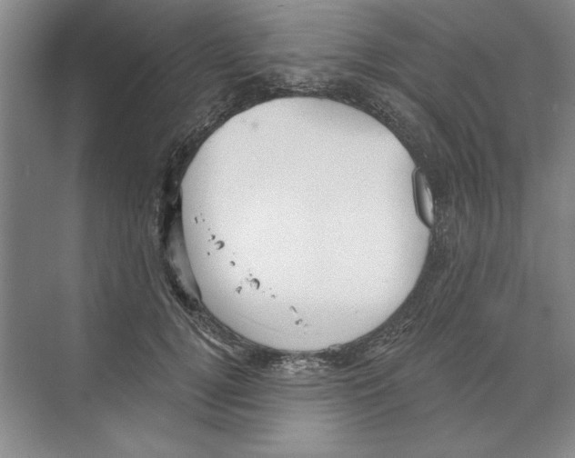 X0000068830752200606021642