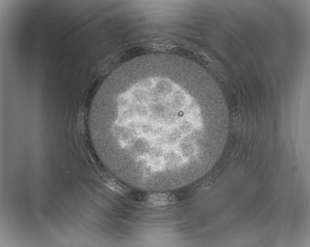 X0000068830757200606021642