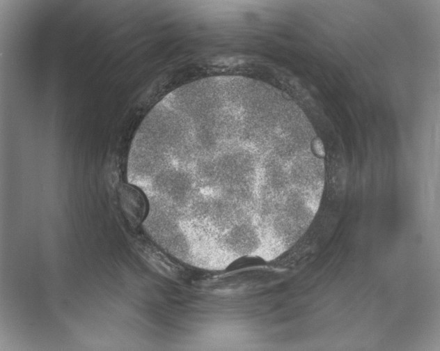 X0000068830758200606021642