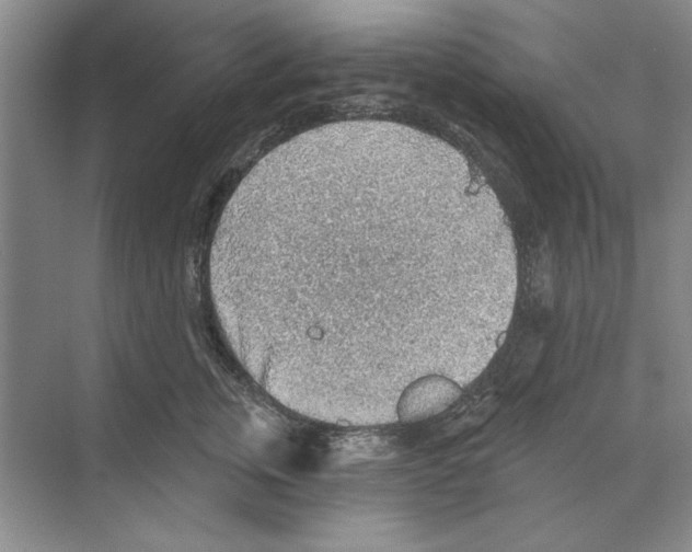 X0000068830759200606021642