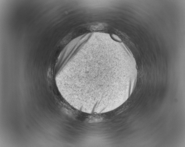 X0000068830763200606021643