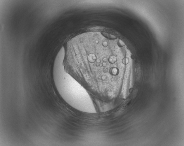 X0000068830765200606021643