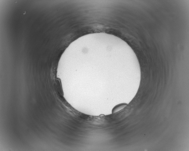 X0000068830768200606021643