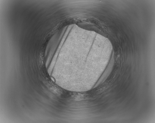 X0000068830772200606021642