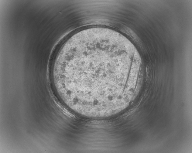 X0000068830780200606021642