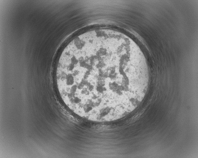 X0000068830783200606021642