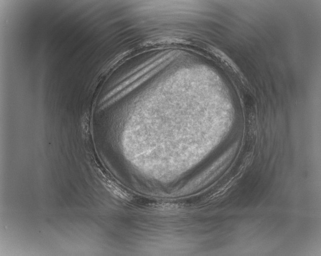 X0000068830785200606021642