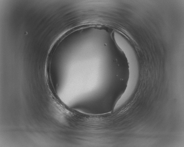 X0000068830788200606021641