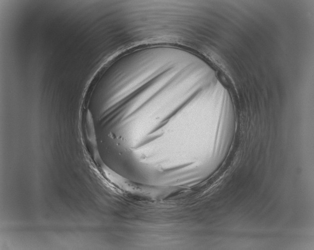 X0000068830789200606021641