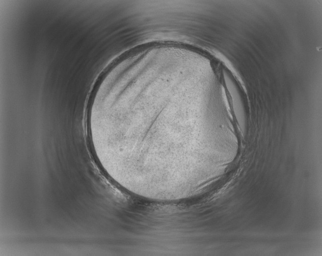 X0000068830791200606021641