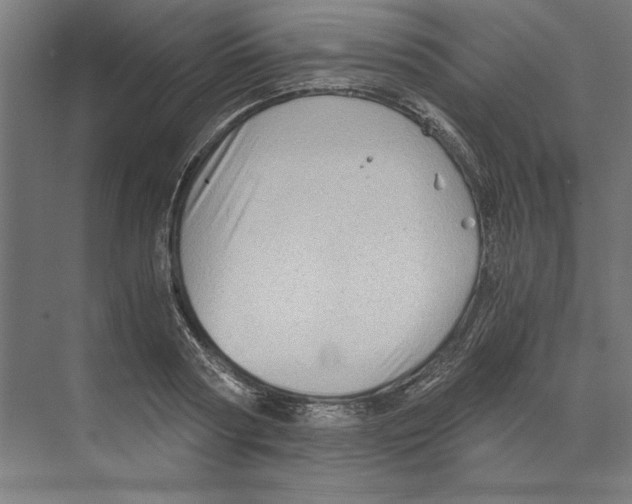 X0000068830794200606021641