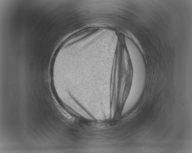 X0000068830795200606021641