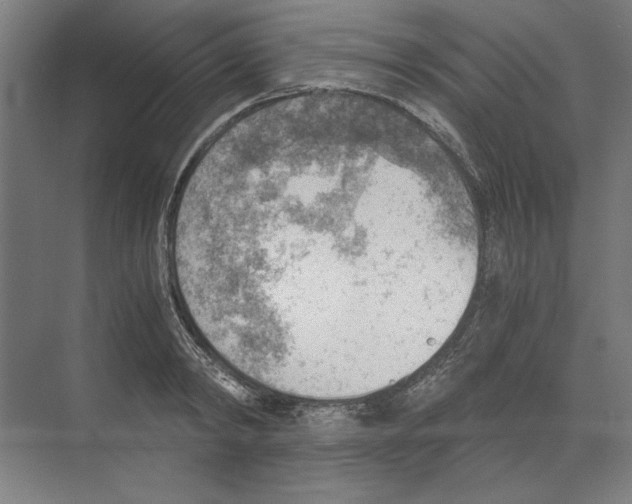 X0000068830798200606021641