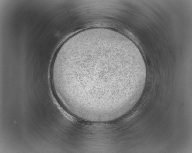 X0000068830803200606021641