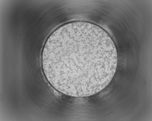 X0000068830807200606021641