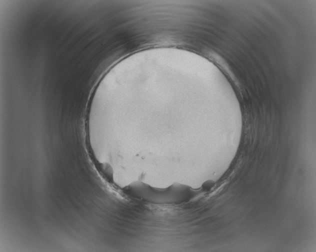 X0000068830810200606021641