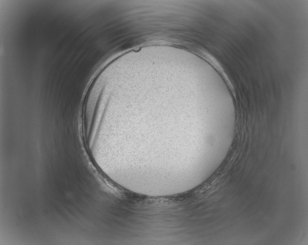 X0000068830811200606021641