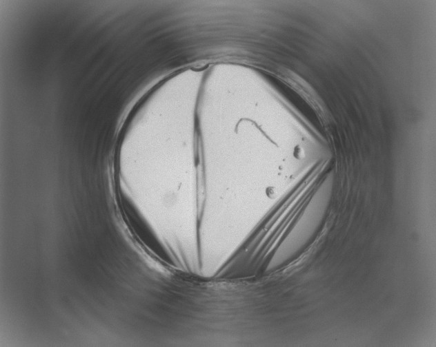 X0000068830812200606021641