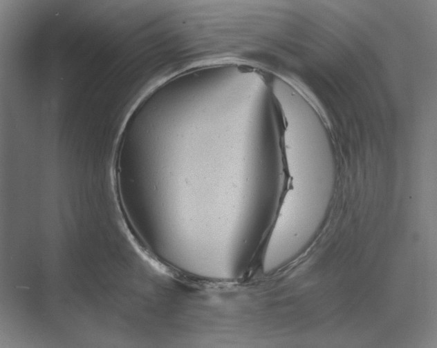 X0000068830813200606021641