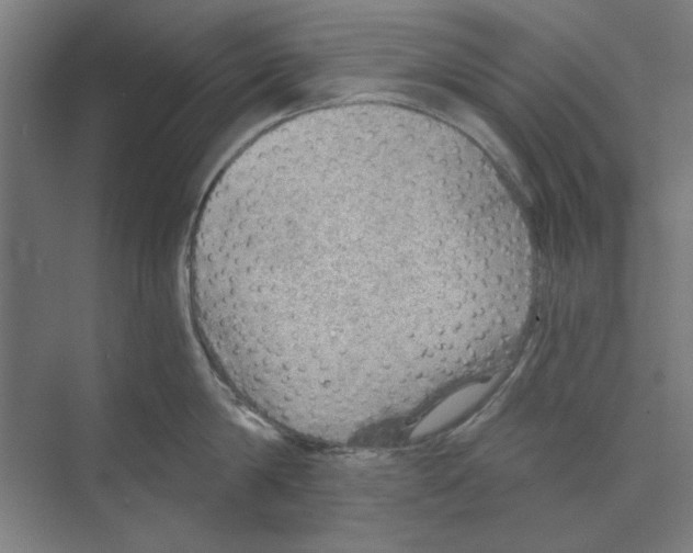 X0000068830814200606021641