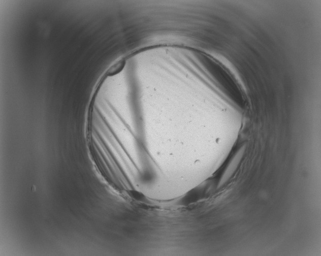 X0000068830815200606021641