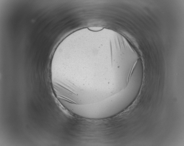 X0000068830816200606021641