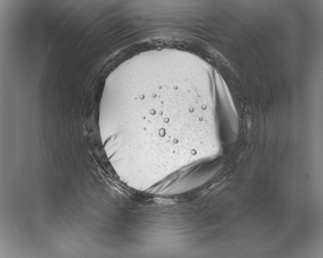 X0000068830822200606021640