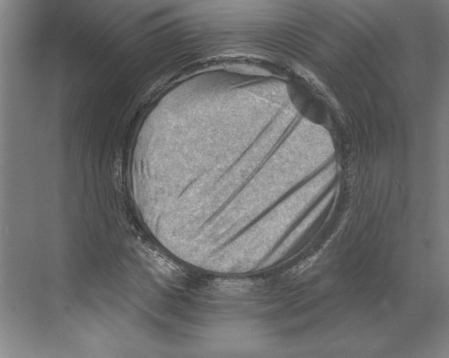 X0000068830825200606021640