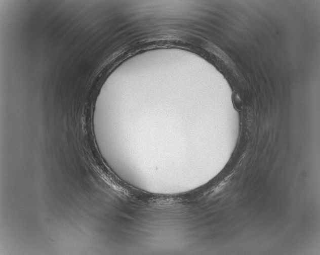 X0000068830826200606021640