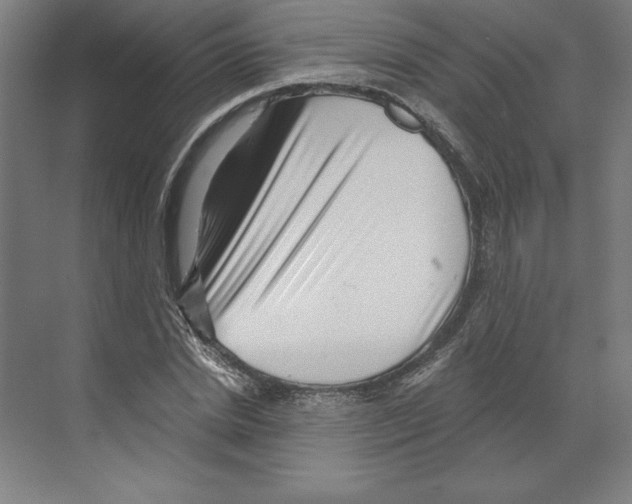 X0000068830830200606021640