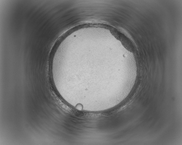 X0000068830831200606021640