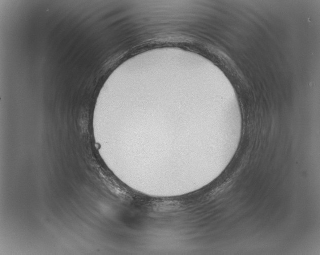 X0000068830833200606021640