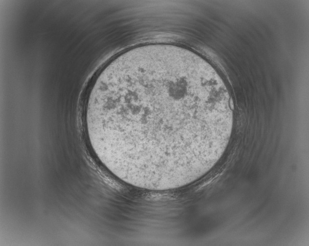 X0000068830835200606021640