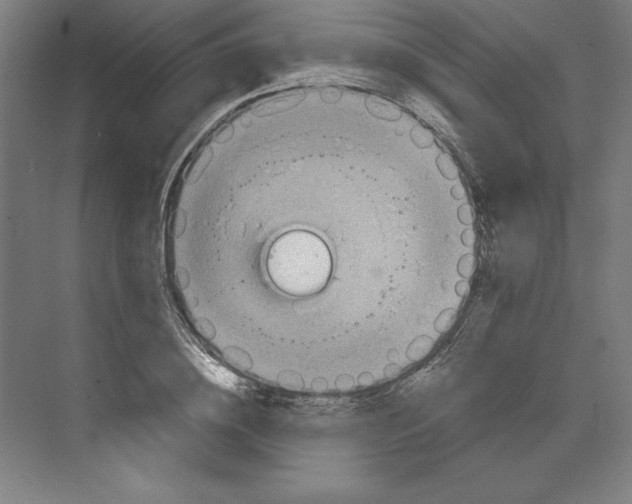 X0000068830836200606021641