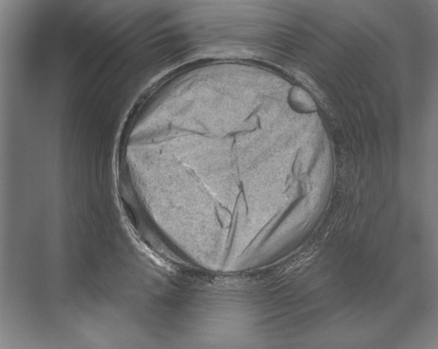 X0000068830840200606021641