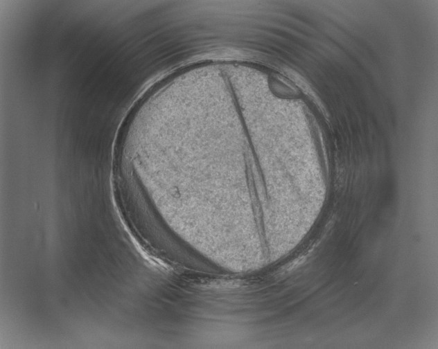 X0000068830845200606021641