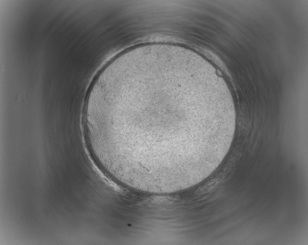 X0000068830847200606021641