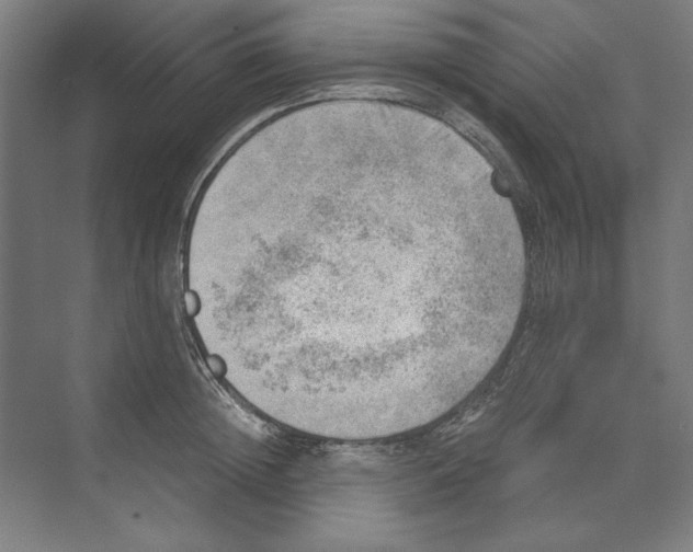 X0000068830852200606021641