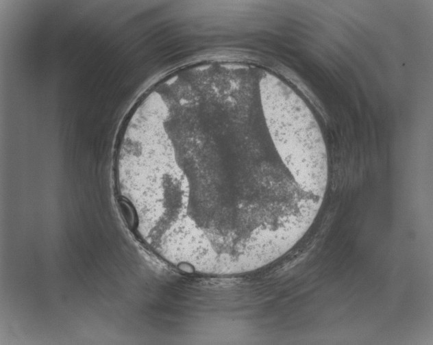 X0000068830853200606021641