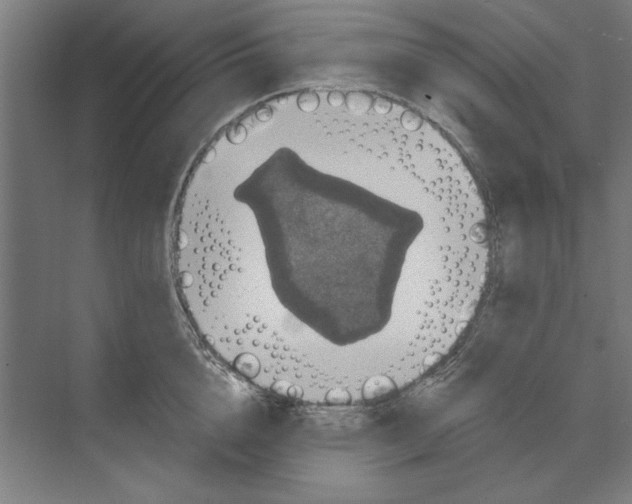 X0000068830856200606021641