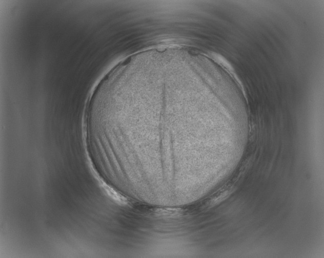 X0000068830859200606021641