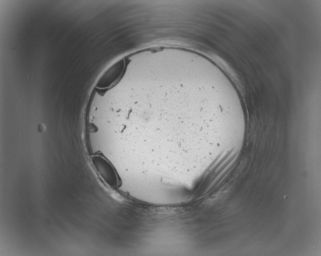 X0000068830862200606021641