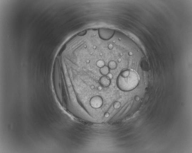 X0000068830863200606021641