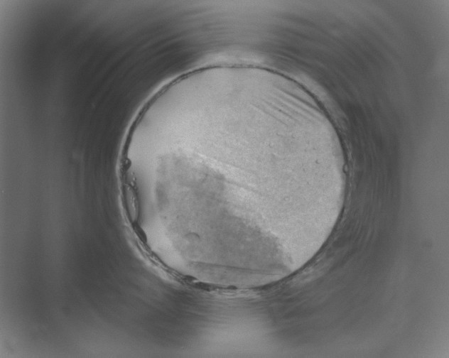 X0000068830864200606021641